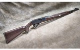 Remington ~ Nylon 66 ~ .22 Long Rifle - 1 of 12