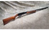 Remington ~ Model 572 ~ .22 S, L, LR - 1 of 16