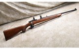 RUGER ~ 77/22 ~ .22 LONG RIFLE
