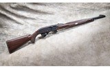 Remington ~ Nylon 77 ~ .22 Long Rifle - 1 of 15