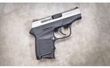Smith & Wesson ~ Bodyguard 3 ~ .380 ACP