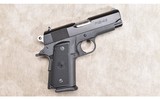 PARA ORDNANCE ~ P12.45 ~ .45 ACP - 1 of 5