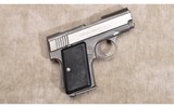 AMT ~ BACK UP ~ .380 ACP