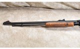 REMINGTON ~ 572 ~ .22 S, L, LR - 7 of 10