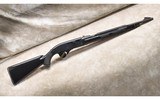 Remington ~ Model Nylon 66 ~ .22 Long Rifle