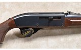 Remington ~ Model Nylon 66 ~ .22 Long Rifle - 3 of 14
