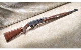 Remington ~ Model Nylon 66 ~ .22 Long Rifle - 1 of 14