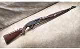 Remington ~ Model Nylon 66 ~ .22 Long Rifle - 1 of 14