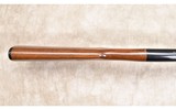 Remington ~ Model 572 ~ .22 S,L,LR - 10 of 15