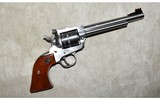 RUGER ~ SINGLE-NINE ~ .22 MAGNUM