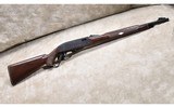 REMINGTON ~ NYLON 76 ~ .22 LONG RIFLE