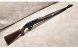 REMINGTON ~ NYLON 66 ~ .22 LONG RIFLE - 1 of 13