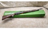 REMINGTON ~ NYLON 66 ~ .22 LONG RIFLE - 12 of 13