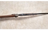 CHIAPPA FIREARMS ~ SPENCER ~ .45 (LONG) COLT - 5 of 11