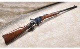 CHIAPPA FIREARMS ~ SPENCER ~ .45 (LONG) COLT - 1 of 11