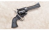 RUGER ~ NEW MODEL BLACKHAWK ~ .357 MAGNUM - 1 of 7