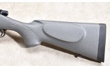 REMINGTON ~ 700 ~ .416 REMINGTON MAG - 10 of 11