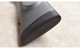REMINGTON ~ 700 ~ .416 REMINGTON MAG - 11 of 11