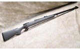 REMINGTON ~ 700 ~ .416 REMINGTON MAG - 1 of 11