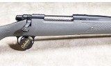 REMINGTON ~ 700 ~ .416 REMINGTON MAG - 3 of 11