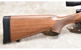 REMINGTON ~ 700 ~ .243 WINCHESTER - 1 of 10
