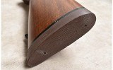 REMINGTON ~ 700 ~ .375 H&H MAGNUM - 10 of 10