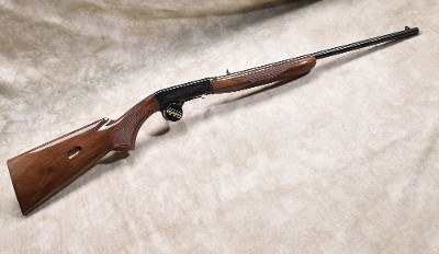 BROWNING ~ .22 Auto ~ .22 LONG RIFLE