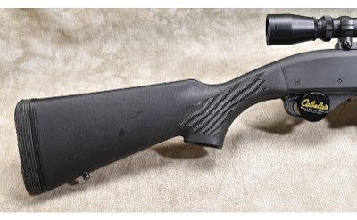 Remington ~ Model 7615 Police ~ .223 Rem / 5.56 NATO