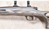 REMINGTON ~ XR-100 ~ .22-250 REMINGTON - 8 of 10