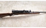 WINCHESTER ~ 88 ~ .243 WINCHESTER - 5 of 11