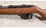 RUGER ~ 10/22 ~ .22 MAGNUM - 9 of 11