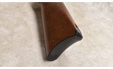 RUGER ~ 10/22 ~ .22 MAGNUM - 11 of 11