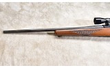 RUGER ~ M77 ~ 7X57MM - 8 of 11 RUGER ~ M77 ~ 7X57MM - 8 of 11