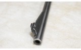REMINGTON ~ 722 ~ .300 SAVAGE - 7 of 11