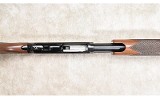 Browning ~ BPS ~ .410 Gauge - 13 of 15