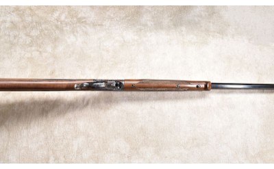 WINCHESTER ~ 1885 ~ .17 HMR - Image 6 of 11