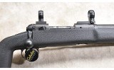 SAVAGE ~ 10 ~ .223 REMINGTON - 3 of 11