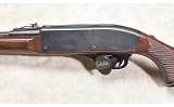 REMINGTON ~ NYLON 66~ .22 LONG RIFLE - 9 of 11