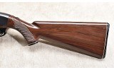 REMINGTON ~ NYLON 66~ .22 LONG RIFLE - 10 of 11