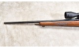 RUGER ~ M77 ~ .22-250 REMINGTON - 8 of 11