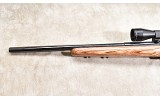 SAVAGE ~ 93R17 ~ .17 HMR - 8 of 11