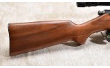 SAVAGE ~ SPORTER ~ .22 LONG RIFLE - 2 of 11