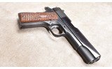 COLT ~ GOVERNMENT ~ .45 AUTO - 3 of 6