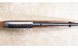 Ruger ~ Carbine ~ .44 Magnum - 10 of 16