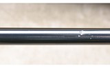 Ruger ~ Carbine ~ .44 Magnum - 16 of 16