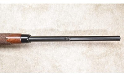 Winchester ~ 9410 ~ .410 Bore - Image 11 of 12