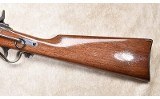 CIMARRON (ARMI SPORT) ~ SHARPS F/B SRC ~ .45-70 GOVERNMENT - 10 of 11