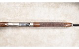 Franchi ~ Fenice ~ 20 Gauge - 13 of 15