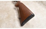 WINCHESTER ~ 190 CARBINE~ .22 S, L OR LR - 11 of 11