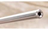 Ruger ~ 77/22 ~ .22 Magnum - 12 of 12